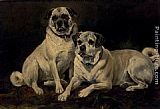 A Spaniel And a Pug Paintings - Pugs by John Emms